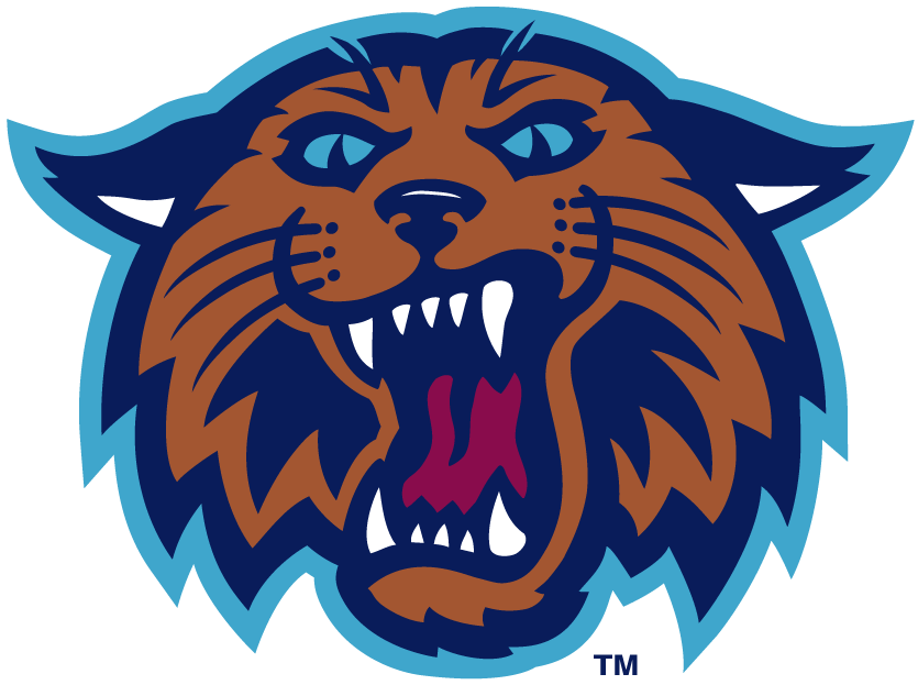 Villanova Wildcats 1996-2003 Alternate Logo v2 diy fabric transfer